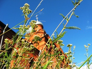 Псковская область