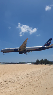 Мои любимые самолеты❤️