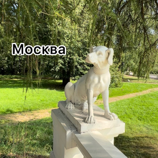 МОСКВА 
