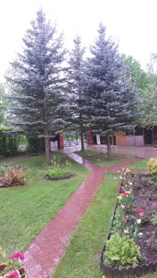 Старый грузовик. Часть 2 