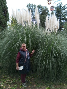 Зимовка в Лазаревском 2023-2024