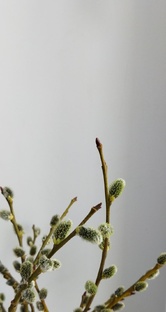 Светлая Пасха