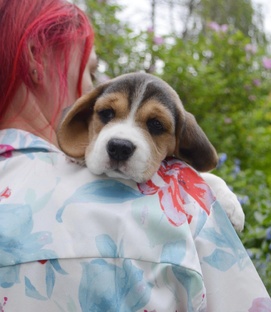 Рассказики Бониты