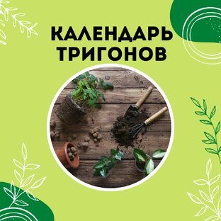 Про календарь Тригонов