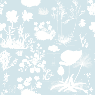 Рисование: иллюстрации, паттерны, картины и художественные материалы