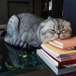 Короткие шпаргалки и лайфхаки.