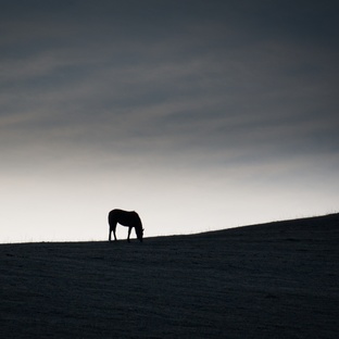 Пейзажная фотография