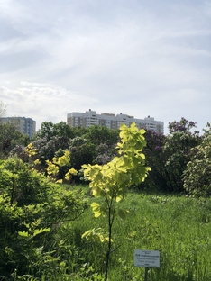 Ботанический сад Самары
