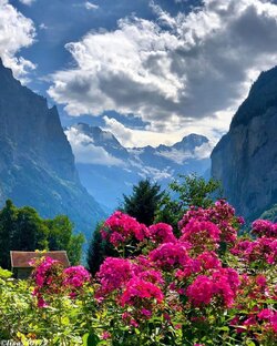 ПСИХОЛОГИЯ НА КАЖДЫЙ ДЕНЬ - РЕШЕНИЕ ПРОБЛЕМ!