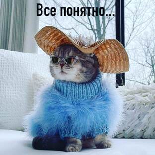 Юмор и анекдоты