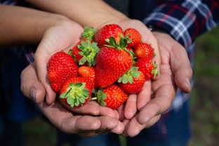 Открытая библиотека знаний