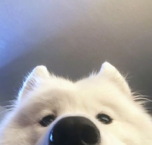 подборка видосиков от 🍄𝐆𝐫𝐢𝐛𝐨𝐜𝐡𝐞𝐤_𝐁𝐨𝐧𝐲𝐚🐶