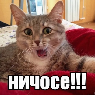 СОВЕТЫ НА ВСЕ СЛУЧАИ В ЖИЗНИ