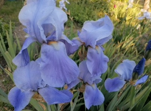 Памятка для тех, кто проходит лечение