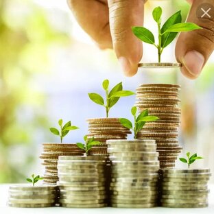 Мои инвестиции 