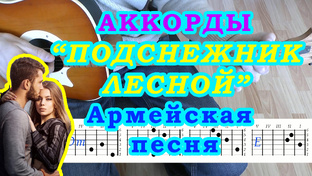 АРМЕЙСКИЕ ПЕСНИ Аккорды и Разбор на гитаре