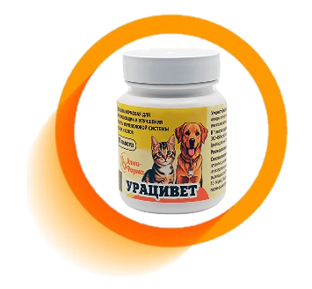 Урацивет или пробемы мочеполовой системы 