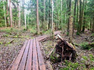 Экологические тропы и маршруты