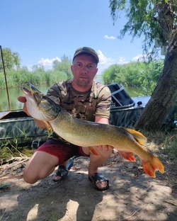 ТЕМРЮКСКИЕ ЛИМАНЫ. 