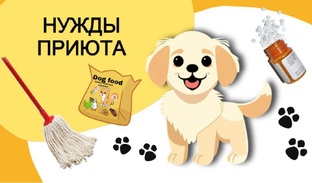 Адреса маркетов и список адресов и контактов  для помощи  