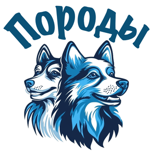 Выбор породы и советы для владельцев