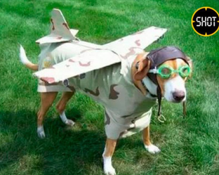 Ассистент сметчика