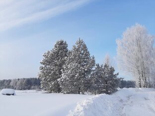 Чудо природы