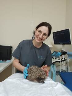 Мой друг Катя