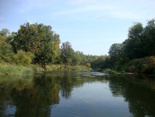 Архив Александра Гурова. Заключительная публикация: с 2014 по 2021гг