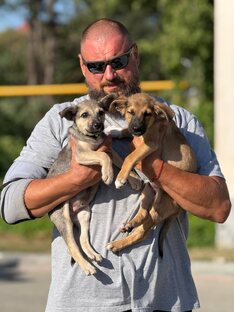 Начало историй