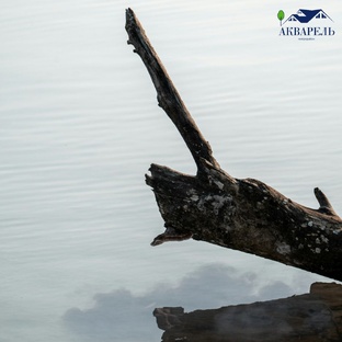 ЧЕК-ЛИСТЫ | СОВЕТЫ ПО СТРОИТЕЛЬСТВУ И ОБУСТРОЙСТВУ ДОМА И САДА