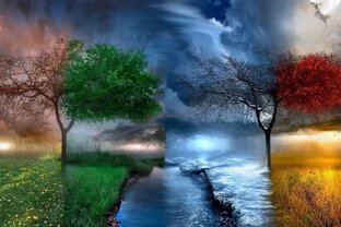 Рассказы, рассказы 