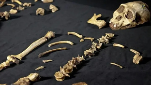 Открытия во времена СССР