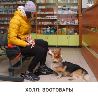 Магазин и аптека