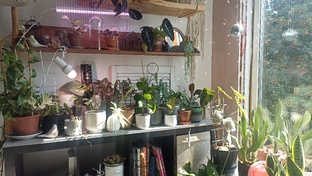 О'бзоры и распаковки