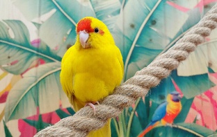 Интересное о животных в Москве 