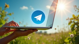 Как продавать свои продукты в Telegram  