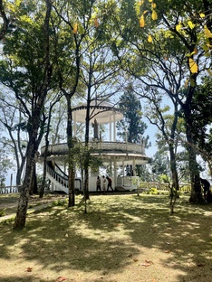 🐘 Шри-Ланка. От специй до китов. Моя история.