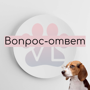 Рубрика вопрос-ответ