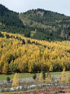 Мои поездки, психо-тревел-блог
