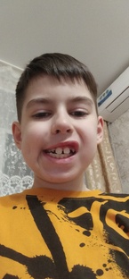 Skibidi Toilet Series