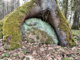 ДЕТИ ВОЙНЫ, рассказы-воспоминания