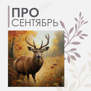 Прогнозы сентября 2024