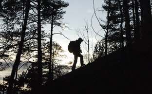 Новости и происшествия