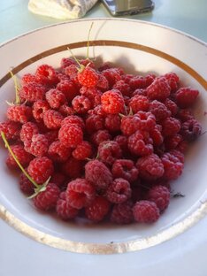 Интересные репосты