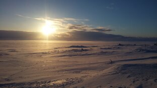 Для мемуаров