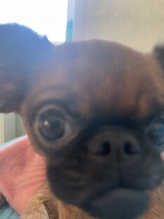 Выговаривали с первого раза?