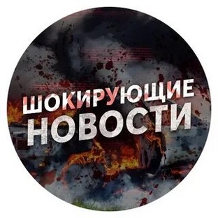 Все серии бесстрашного тигра 🐯
