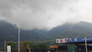 Разговоры о Китае