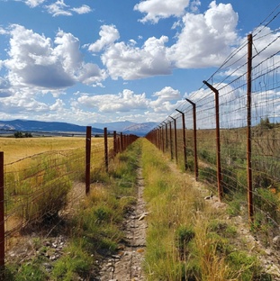 Первые или крайние